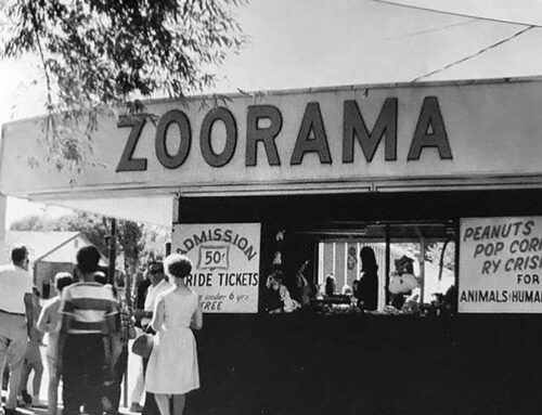 The History of Dorney Park’s Zoorama