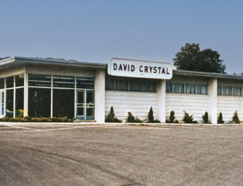 The Reading David Crystal Plant